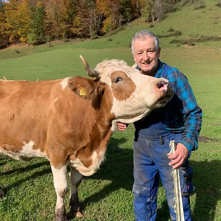 Mayringerlehen Konukevi